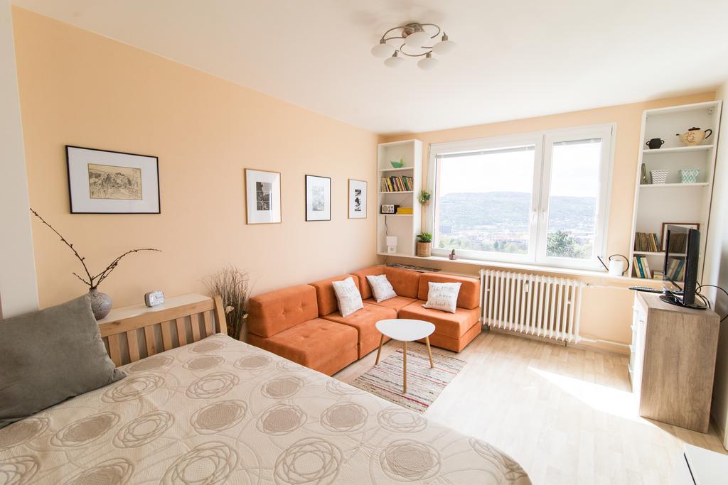 Apartman Labe Ústí nad Labem المظهر الخارجي الصورة