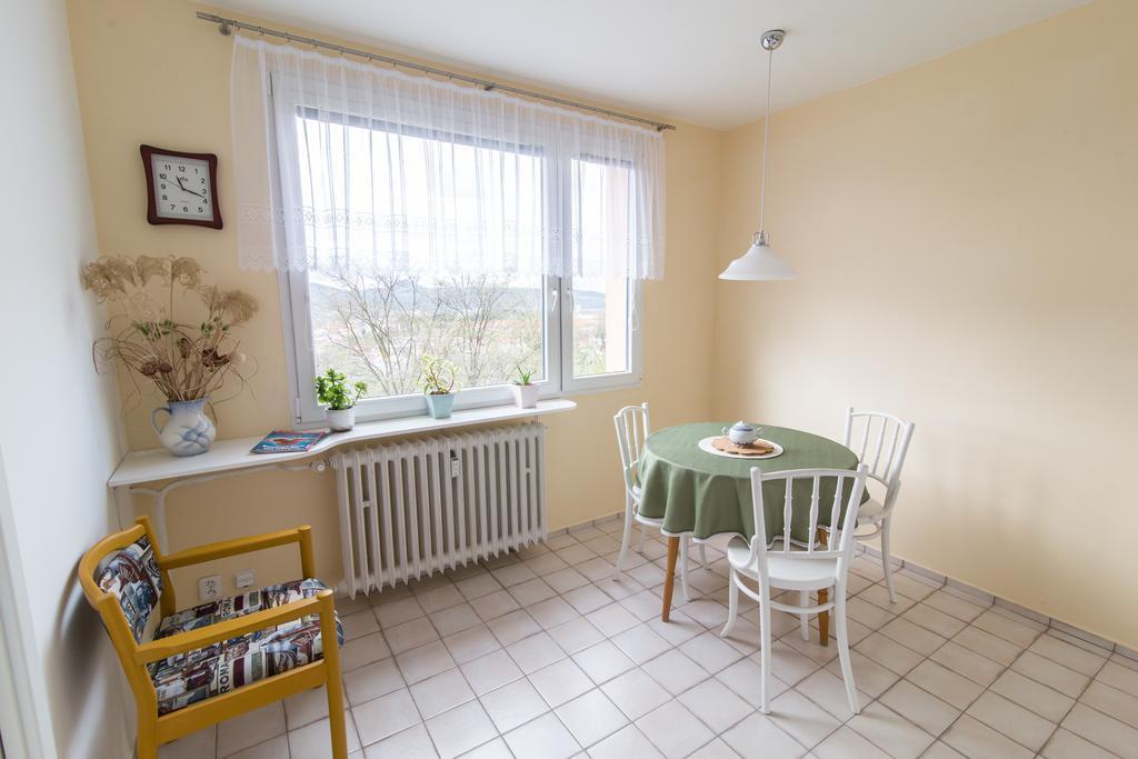 Apartman Labe Ústí nad Labem المظهر الخارجي الصورة