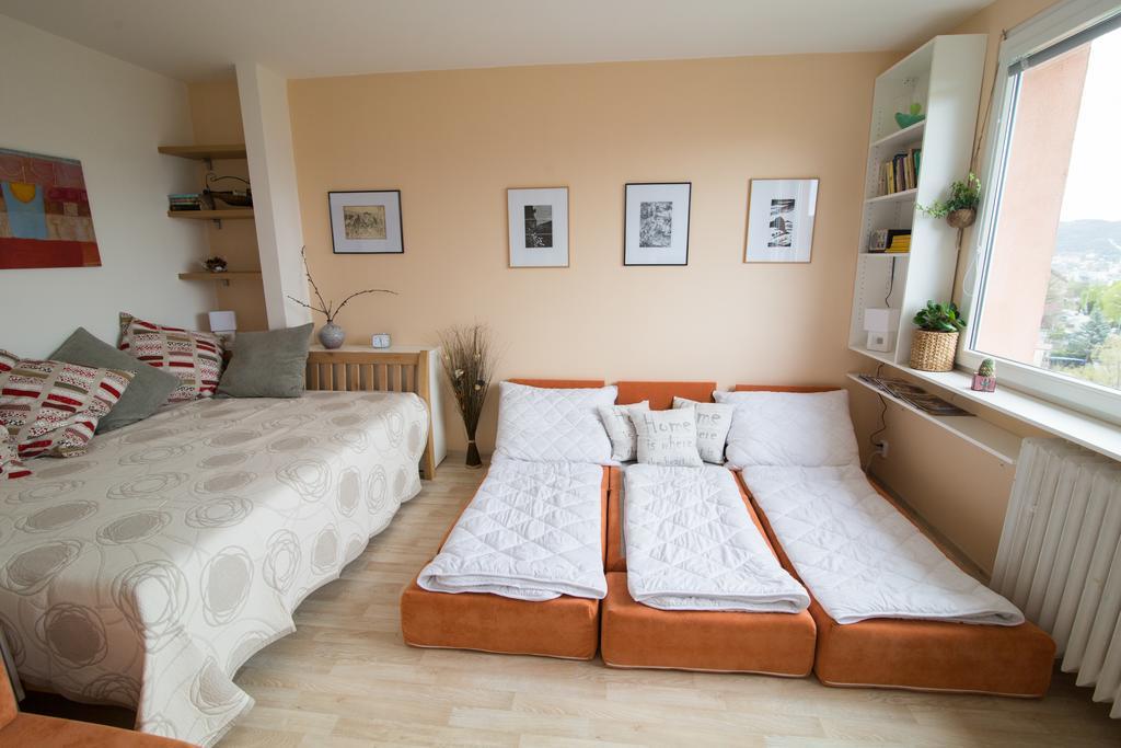 Apartman Labe Ústí nad Labem المظهر الخارجي الصورة